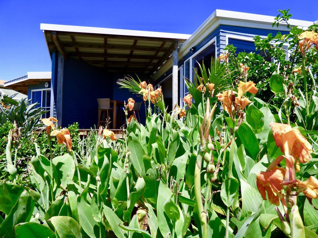 Arthouse Beachfront Accommodation Emerald Beach Εξωτερικό φωτογραφία
